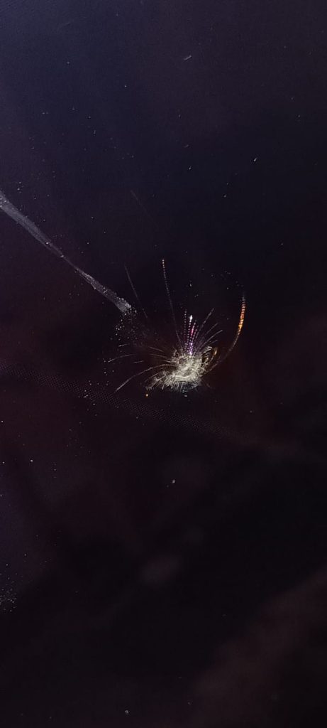 65" oled töllö pääsi kaatumaan kulahtaneiden styroksien takia