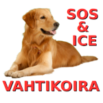 ICE vahtikoira
